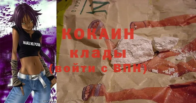 Cocaine FishScale  Новошахтинск 