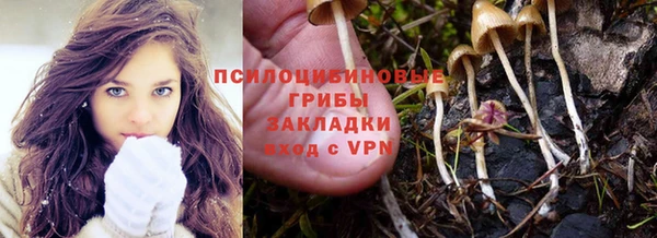 PSILOCYBIN Алексеевка