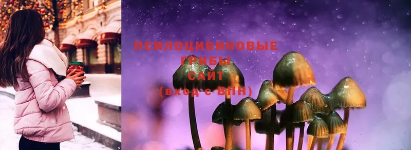 Псилоцибиновые грибы Magic Shrooms  где найти наркотики  Новошахтинск 